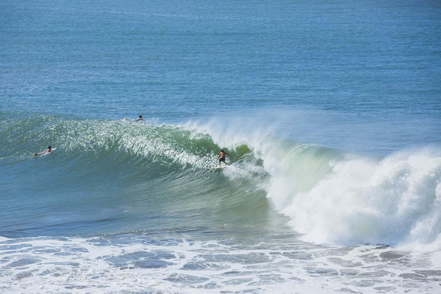 Service illustration